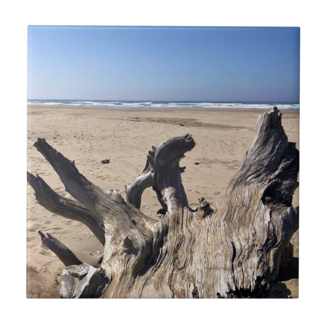 Yaquina Bay State Recreation Site, Newport, Oregon Ceramic Tile (Front)