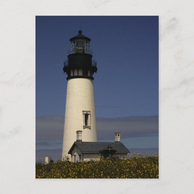 Yaquina Head Lighthouse--NEW Postcard (Front)
