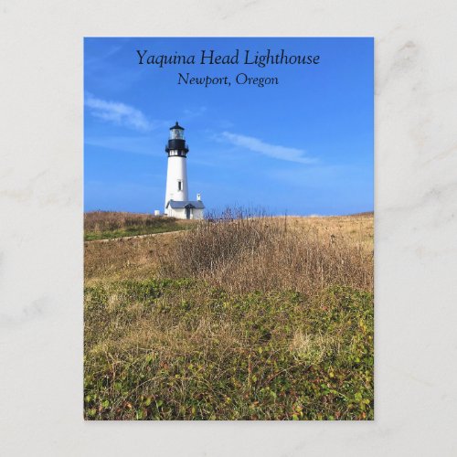 Yaquina Head Lighthouse Newport Oregon Postcard