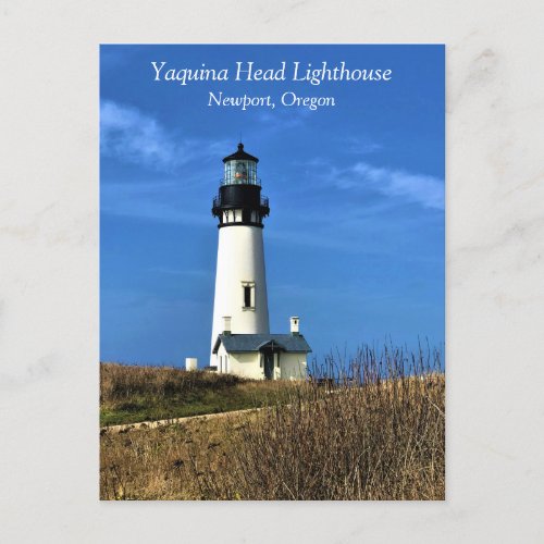 Yaquina Head Lighthouse Newport Oregon Postcard
