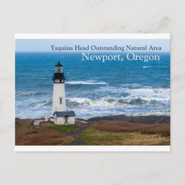 Yaquina Head Outstanding Natural Area Lighthouse Postcard (Front)