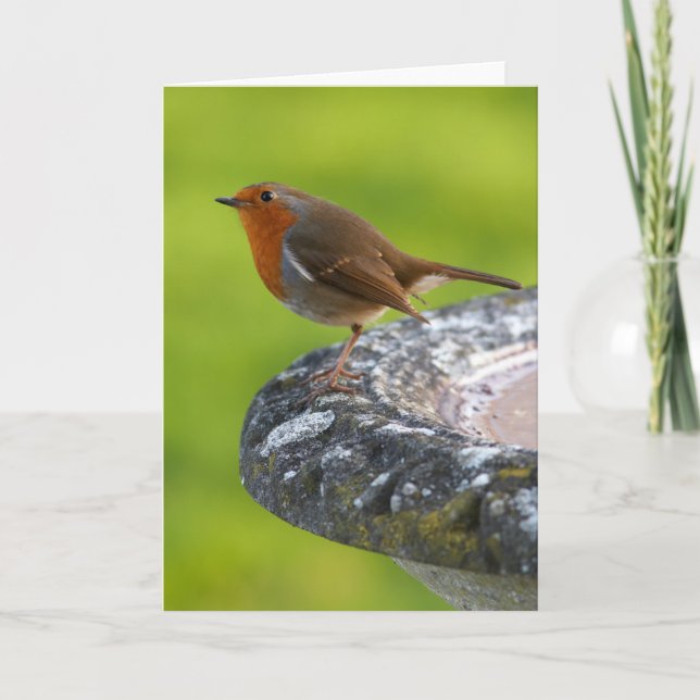 Yard Boss Greeting Card (Front)