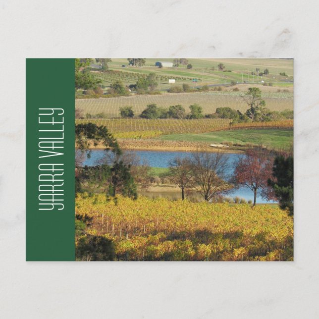 yarra valley winery postcard (Front)