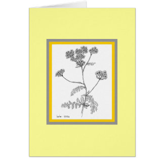 Yarrow Cards