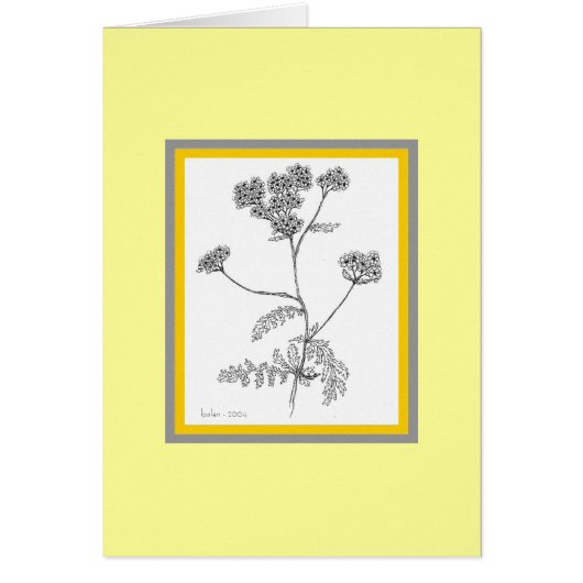 Yarrow Cards (Front)