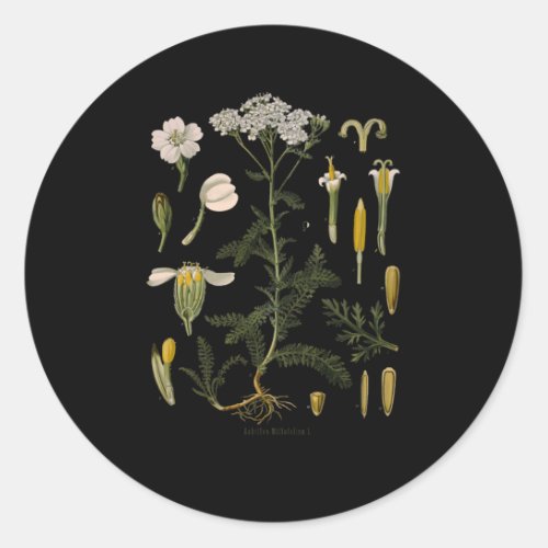 Yarrow Flower Floral Botanical Botany Illustration Classic Round Sticker