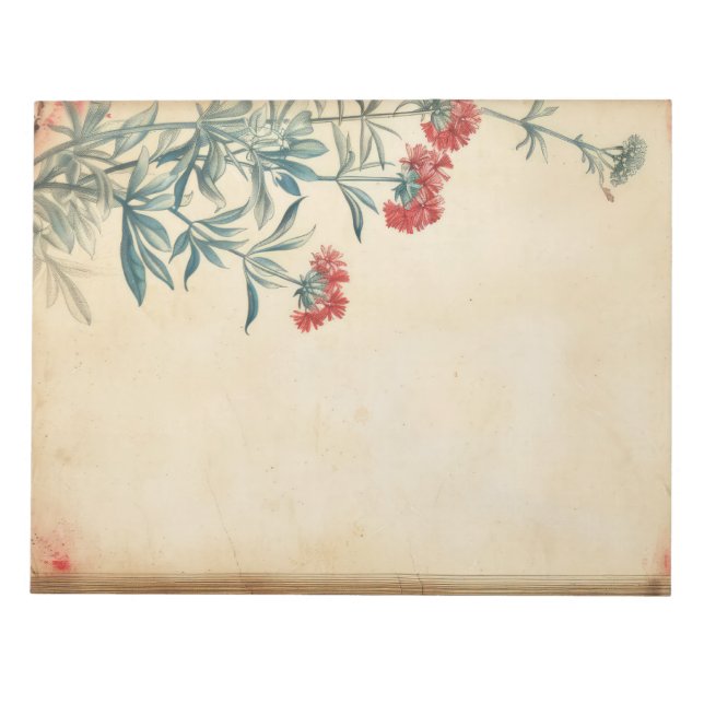 Yarrow flower illustration ephemera notepad (Front)