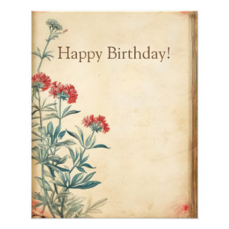 Yarrow flower illustration ephemera photo print