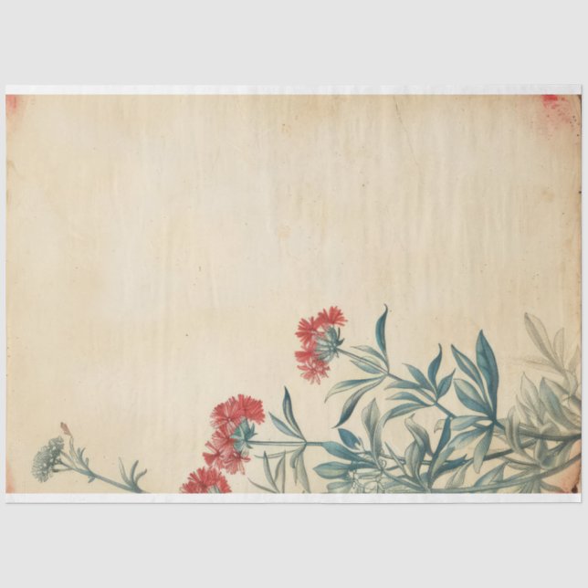 Yarrow flower illustration ephemera tissue paper (Front)