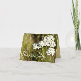 Yarrow Flower Matching Inside Color Personalized