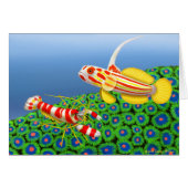 Yasha Hase Goby & Pistol Shrimp Card (Front Horizontal)