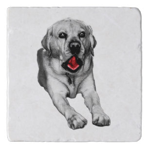 Yawn Between Sips Trivet