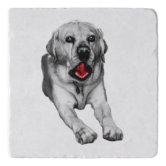 Yawn Between Sips Trivet (Front)