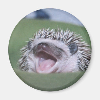 yawner magnet