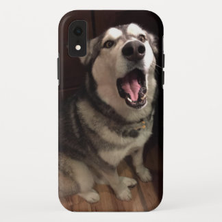 Yawning Alaskan Malamute Photograph iPhone XR Case