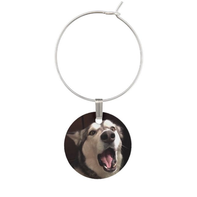 Yawning Alaskan Malamute Photograph Wine Glass Charm (Front)