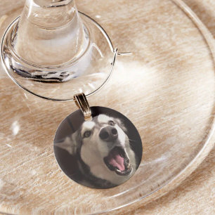Yawning Alaskan Malamute Photograph Wine Glass Charm