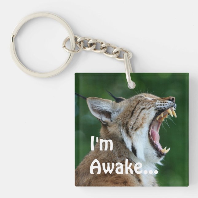 Yawning Bobcat Keychain (Front)
