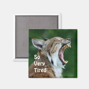 Yawning Bobcat Magnet