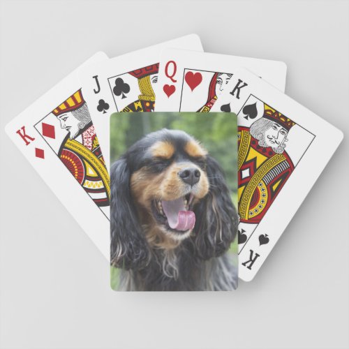 Yawning Cavalier King Charles Spaniel Playing Cards