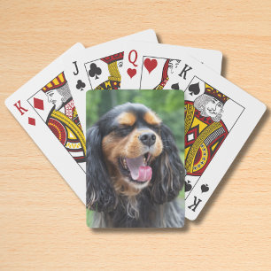 Yawning Cavalier King Charles Spaniel Poker Cards