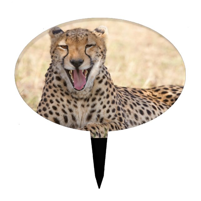 Yawning Cheetah Cake Topper (Front)