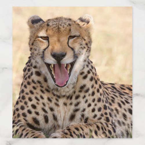Yawning Cheetah Envelope Liner