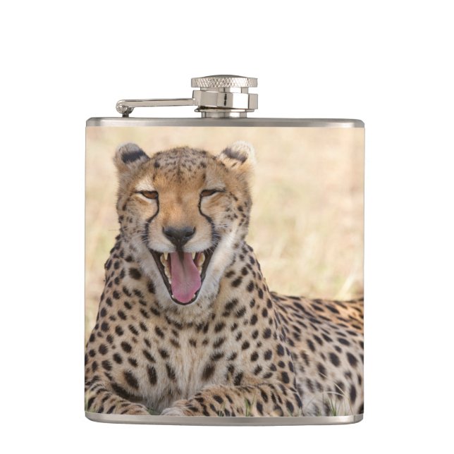 Yawning Cheetah Flask (Front)