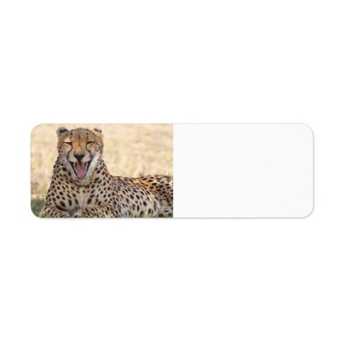Yawning Cheetah Label