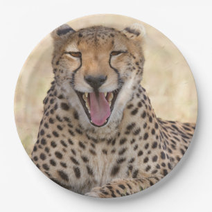 Yawning Cheetah Paper Plates