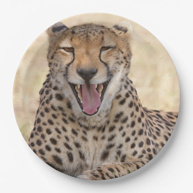Yawning Cheetah Paper Plates (Front)