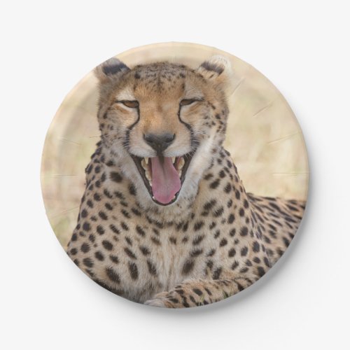Yawning Cheetah Paper Plates