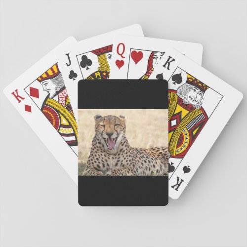 Yawning Cheetah Poker Cards