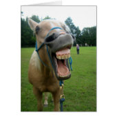 Yawning Horse (Front)