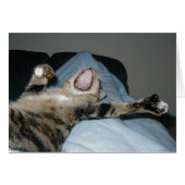 Yawning Kittie (Front Horizontal)