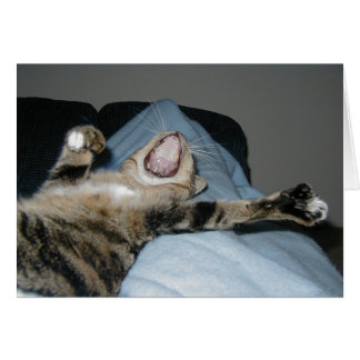 Yawning Kittie Cards