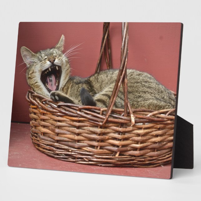 Yawning Kitty Cat Plaque (Side)