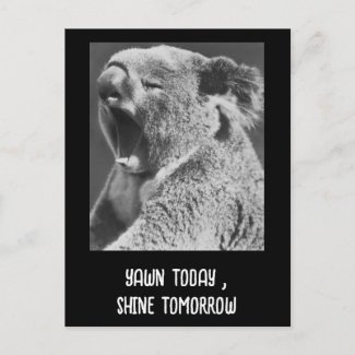 Yawning Koala-funny phrase