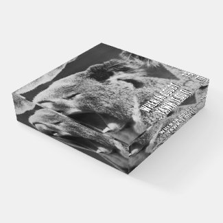 Yawning Koala-funny quote