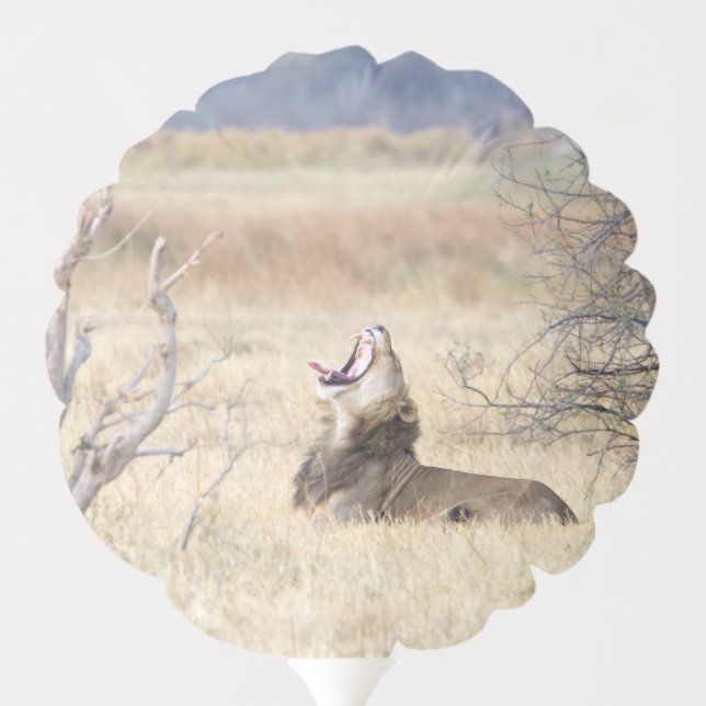 Yawning lion balloon (Back)