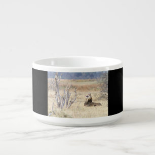 Yawning lion bowl