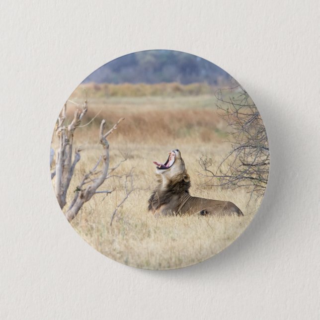 Yawning lion button (Front)