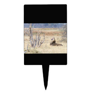 Yawning lion cake topper