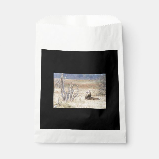 Yawning lion favor bag (Front)