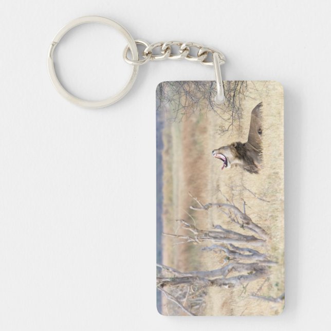 Yawning lion keychain (Front)