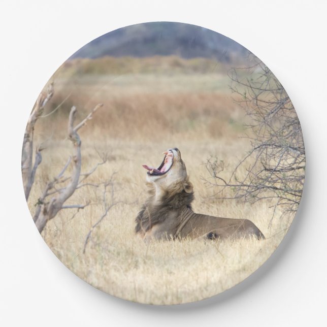 Yawning lion paper plates (Front)