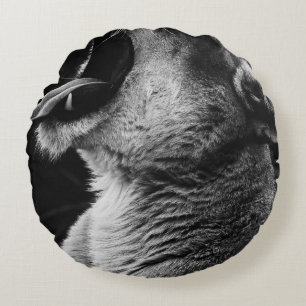 yawning lion round pillow