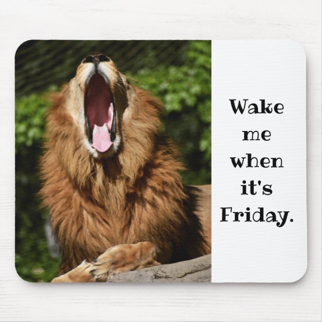 Yawning Lion- Wake me when its friday Mouse Pad (Front)
