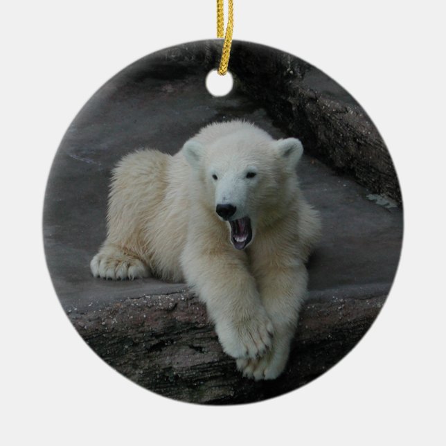 Yawning Polar bear cub Ceramic Ornament (Front)