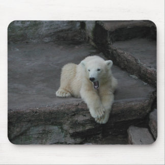 Yawning Polar bear cub Mouse Pad